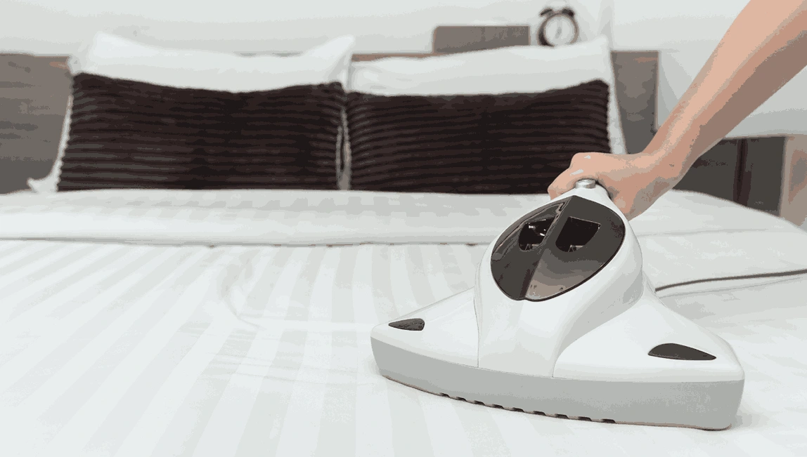 Professional Mattress Cleaning Wattle Flat